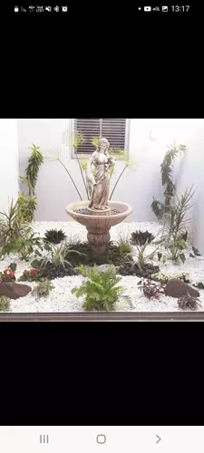 תכנון והקמת גינה בבית פרטי 4